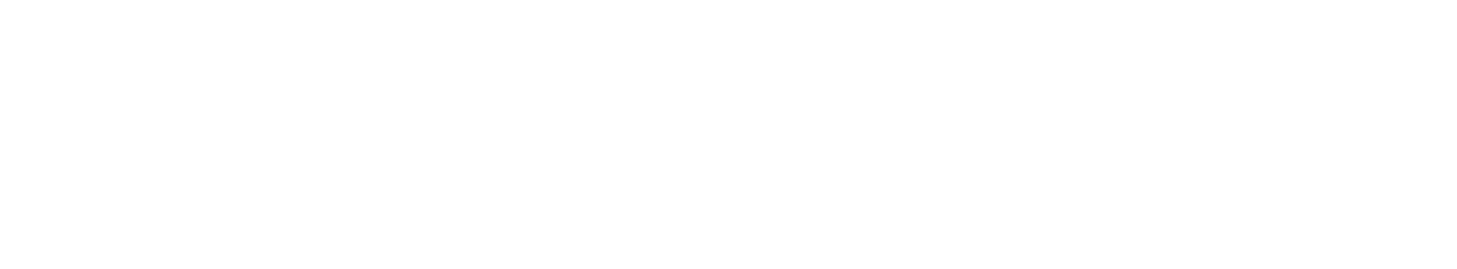 Logo PRophet white